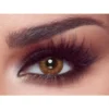 Lentilles de couleur Bella One Day Almond Brown — brun amande chaud et naturel