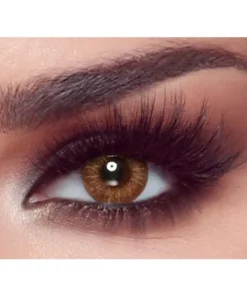 Lentilles de couleur Bella One Day Almond Brown — brun amande chaud et naturel