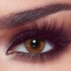 Lentilles de couleur Bella One Day Hazel Honey — noisette et miel à l'anneau limbal brun