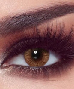Lentilles de couleur Bella One Day Hazel Honey — noisette et miel à l'anneau limbal brun