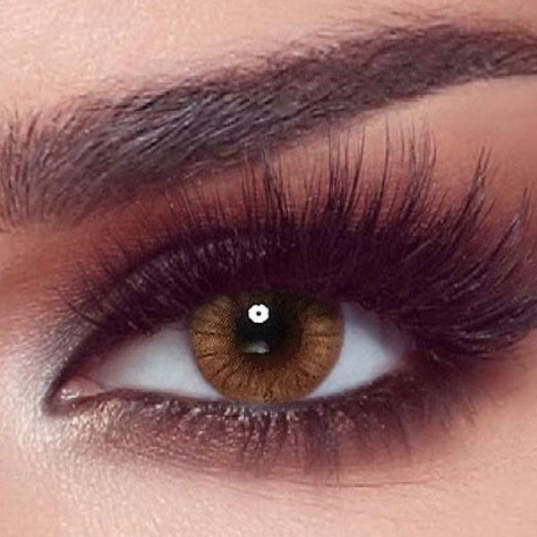 Lentilles de couleur Bella One Day Hazel Honey — noisette et miel à l'anneau limbal brun