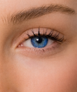 Energy Lenses - Bleu Saphir Intense