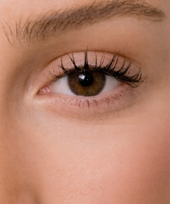 Energy Lenses - Noisette Dorée Naturelle