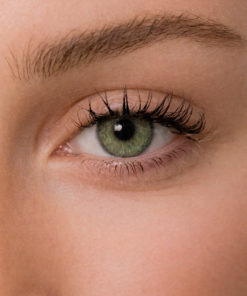 Energy Lenses - Vert Émeraude Naturel