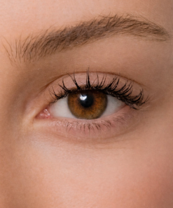 Energy Lenses - Miel Ambré Lumineux