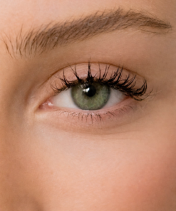Energy Lenses - Hazel Menthe Naturel