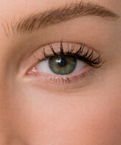 Energy Lenses - Vert Kaki Intense