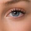 Energy Lenses - Gris Bleuté Naturel