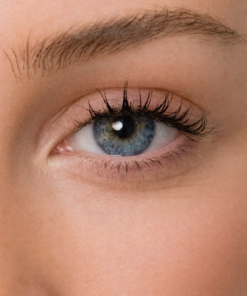 Energy Lenses - Gris Bleuté Naturel