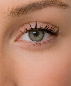 Energy Lenses - Vert Olive Doux