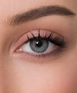 Energy Lenses - Gris Menthe Givré- mint-grey