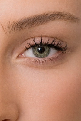 Energy Lenses - Or Pur