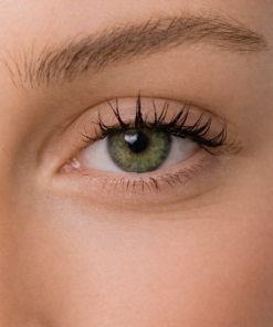 Energy Lenses - Hazel Pur Végétal