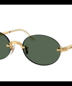Ray-Ban Asap Rocky RB3929 001/71 54-20 Arista